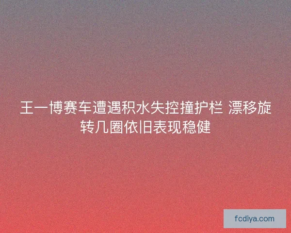 王一博赛车遭遇积水失控撞护栏 漂移旋转几圈依旧表现稳健