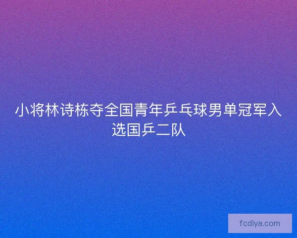 小将林诗栋夺全国青年乒乓球男单冠军入选国乒二队