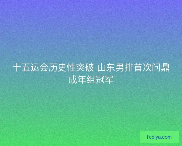 十五运会历史性突破 山东男排首次问鼎成年组冠军
