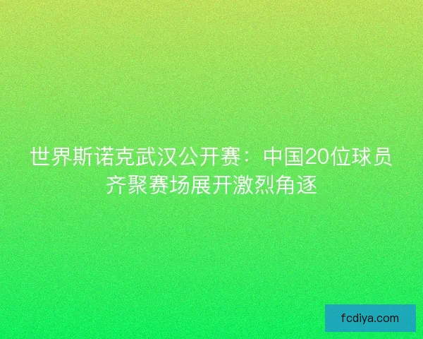 世界斯诺克武汉公开赛:中国20位球员齐聚赛场展开激烈角逐 世界斯诺克武汉公开赛:中国20位球员齐聚赛场展开激烈角逐